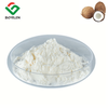 Leche de coco en polvo