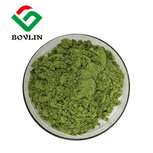 Polvo de brócoli
